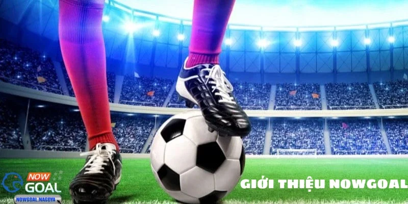 Thu hút bởi giao diện cực kỳ tối ưu 